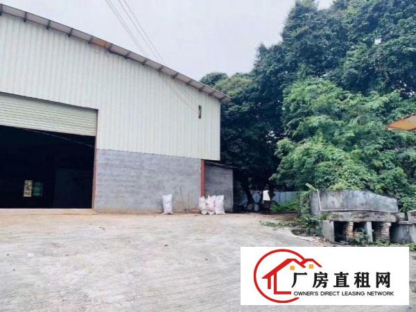  横沥长巷小独院1200平米独院厂房出租！6.5米高