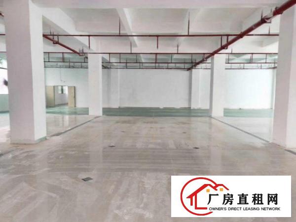  六甲新出（原房东豪华装修带环评）一楼1350平厂房