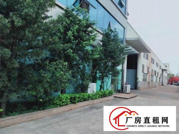  田坑独院单层厂房11000平方，滴水十米带水电线路齐全