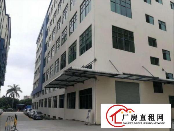  长巷新出标准一楼600平方厂房现成装修5米高