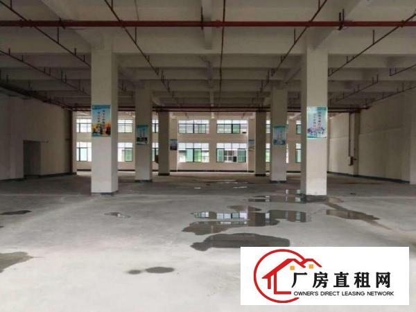  长巷新出标准一楼600平方厂房现成装修5米高