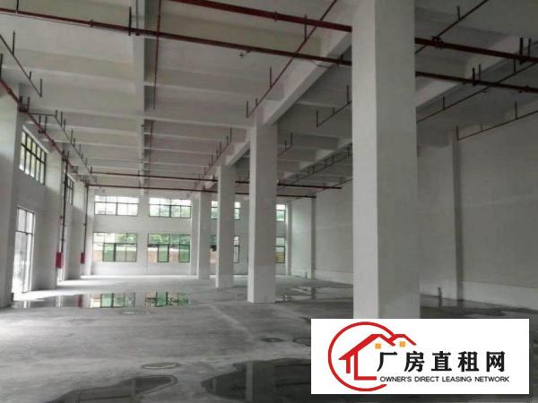  长巷新出标准一楼600平方厂房现成装修5米高