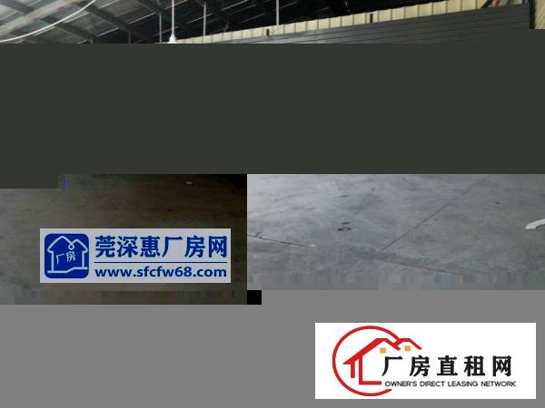  水边原房东独院钢构一楼3600平方装修