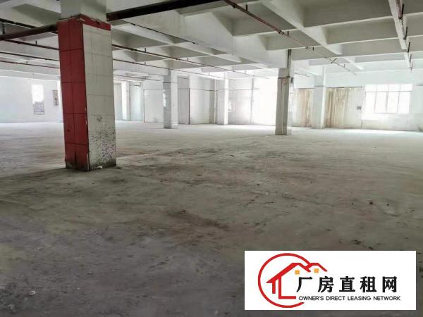  横沥城区原房东三楼1000平方到现成装修