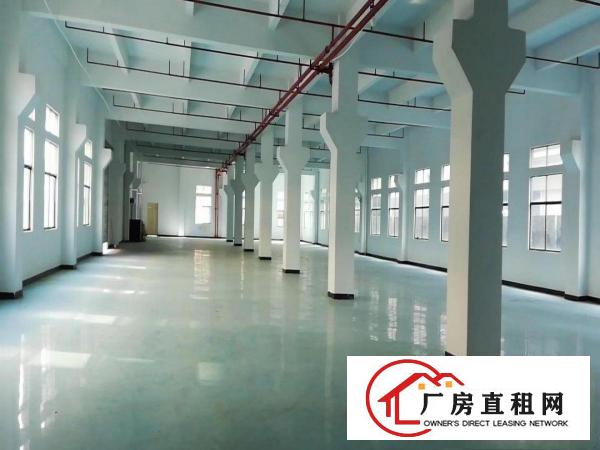 大型工业区交通便利形象漂亮租金便宜独门独院标准厂房出租