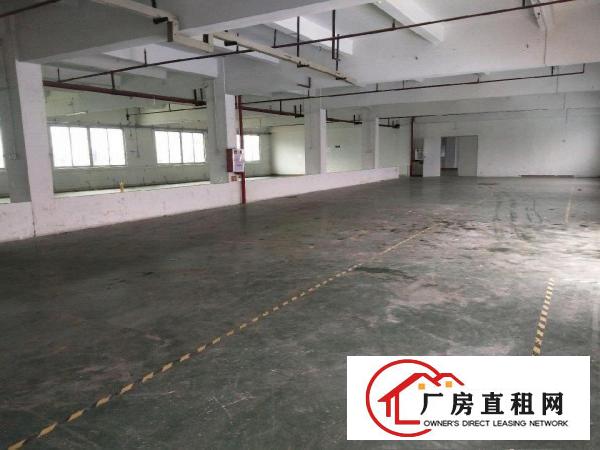  大型工业区交通便利形象漂亮租金便宜独门独院标准厂房出租