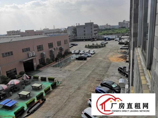  横沥新城独院标准一楼工业厂房910平招租