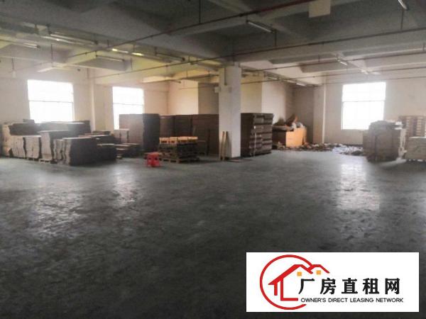  横沥新城独院标准一楼工业厂房910平招租