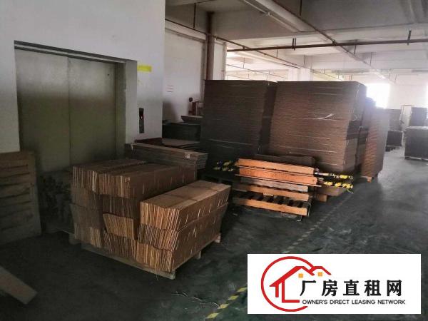 横沥新城独院标准一楼工业厂房910平招租