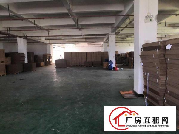  横沥新城独院标准一楼工业厂房910平招租