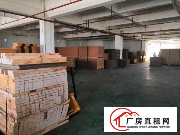  横沥新城独院标准一楼工业厂房910平招租