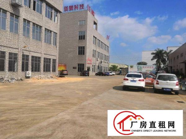  横沥新城独院标准一楼工业厂房910平招租