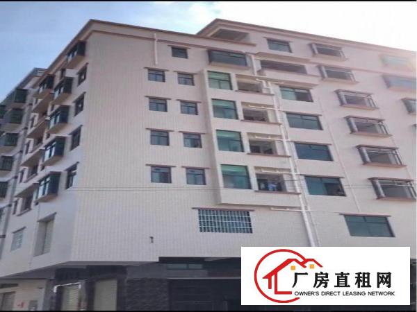  全新一楼旺铺120平＋仓库100平出租