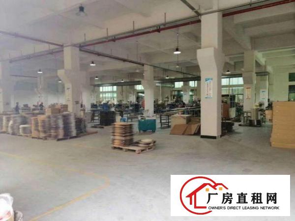  横沥长巷标准厂房一楼700平方分租，带牛角现成装修