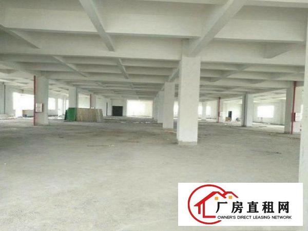  张坑原房东小独院标准厂房1200平米包办环评