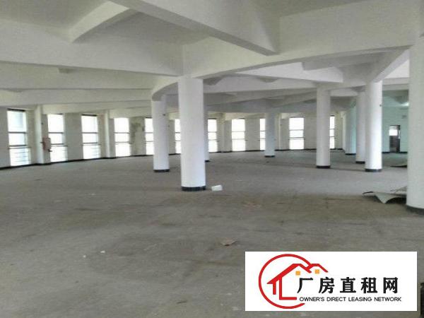  张坑原房东小独院标准厂房1200平米包办环评