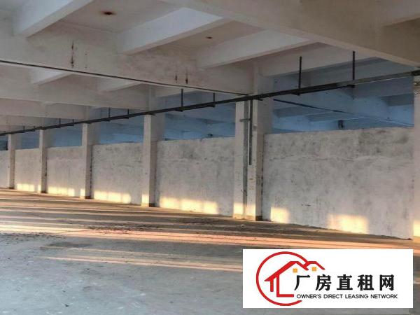  长巷独院标准电梯厂房可分租1000平方