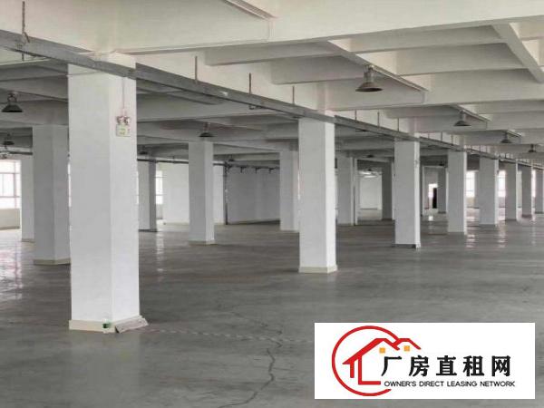  长巷独院标准电梯厂房可分租1000平方
