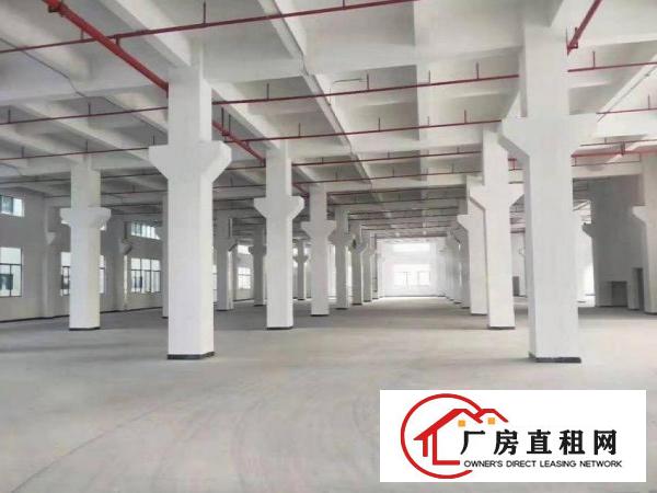  村尾2层标准独院厂房原房东厂房500平方起租