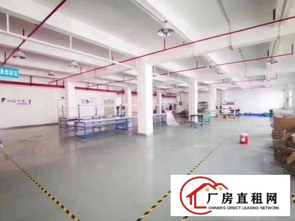 长巷标准小独院厂房三层3800平方