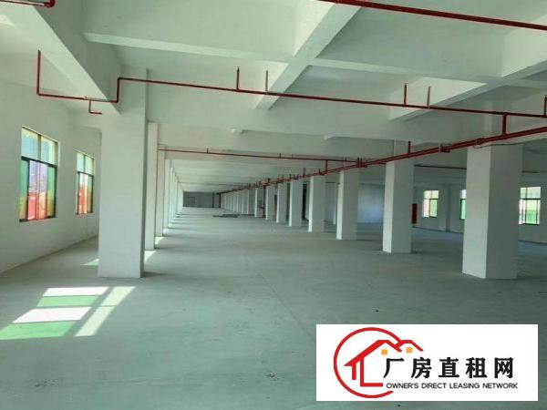  隔坑带喷淋标准厂房出租，证件齐备，可办环评