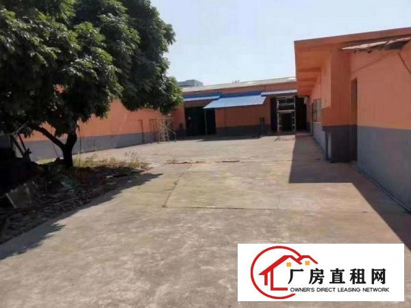  长巷单层厂房1080平8米高，房东是主任，适合任何行业