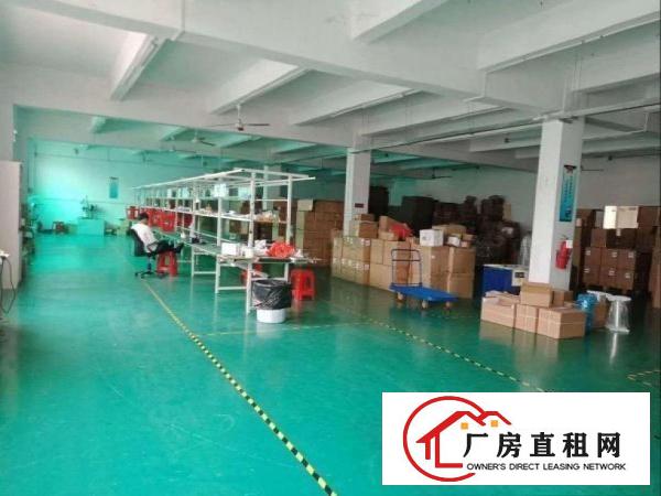  张坑新出1楼500平带办公室，车间水电厂房出租