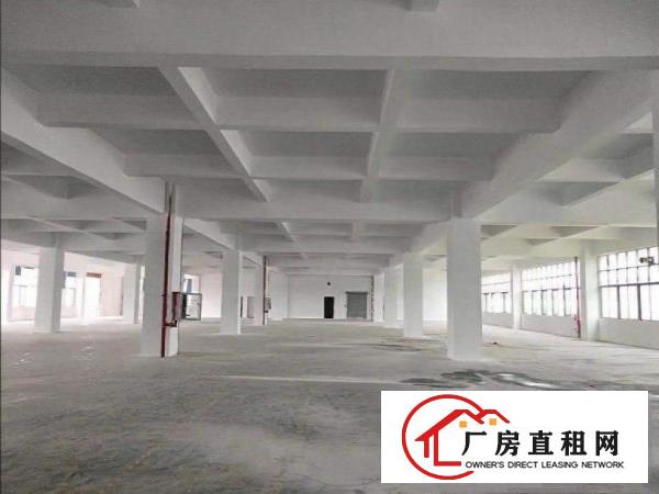  张坑新出1楼500平带办公室，车间水电厂房出租