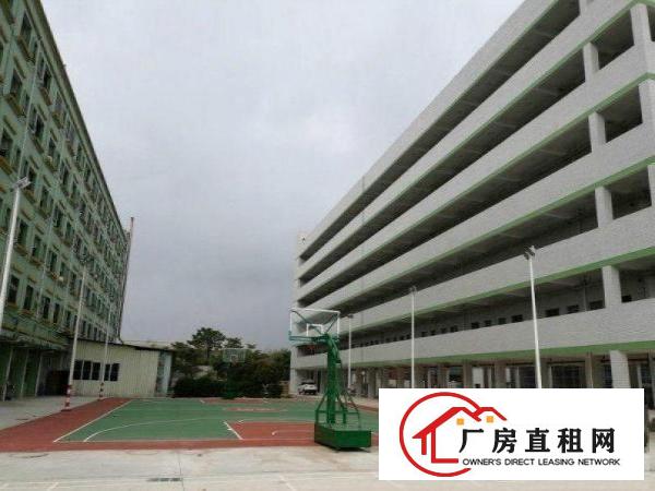  六甲厂房独栋标准带红本办环评易招工可分500