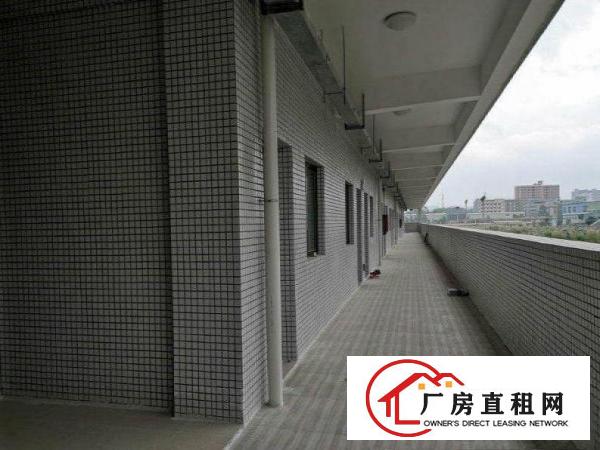  六甲厂房独栋标准带红本办环评易招工可分500