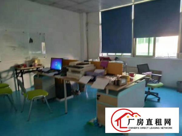  出租横沥镇石涌工业区300，价格优惠无公摊，适合新开厂