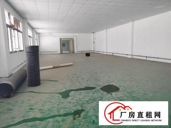  横沥镇隔坑神田新出楼上实际面积800平方带豪华装修