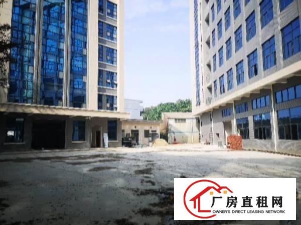  横沥镇驹马路边楼上原房东新出600平方精装修直租