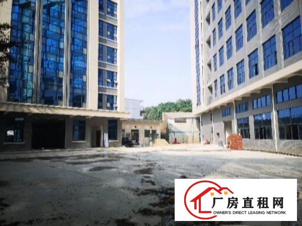  横沥镇驹马路边楼上原房东新出600平方精装修直租