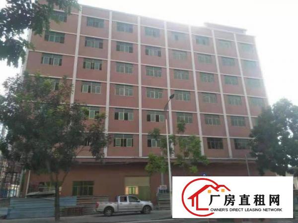  横沥镇驹马路边楼上原房东新出600平方精装修直租