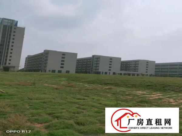 横沥镇驹马路边楼上原房东新出600平方精装修直租