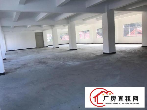  横沥镇东兴工业区新出楼上800平方直租