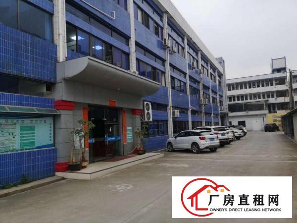  横沥镇东兴工业区新出楼上800平方直租