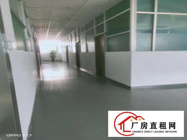  横沥镇东兴工业区新出楼上800平方直租