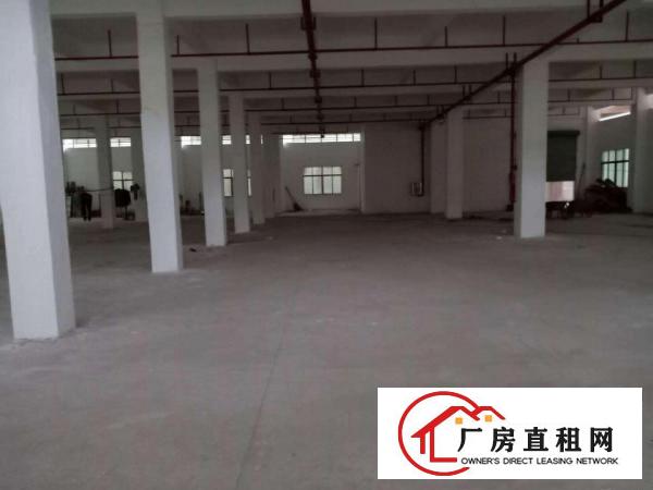  横沥镇东兴工业区新出楼上800平方直租