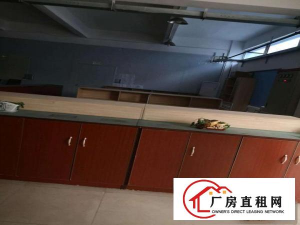  横沥镇东兴工业区新出楼上800平方直租