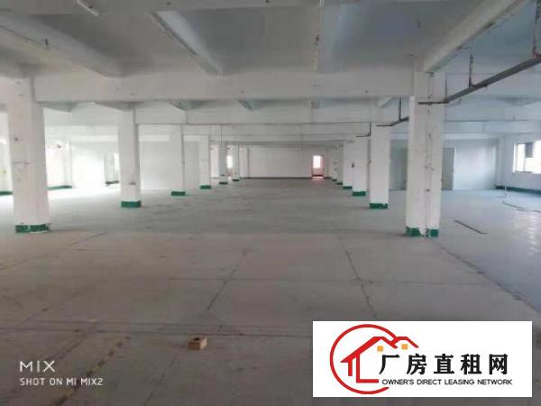  横沥四海，山厦村委，三江新出楼上600平方带精装修出租