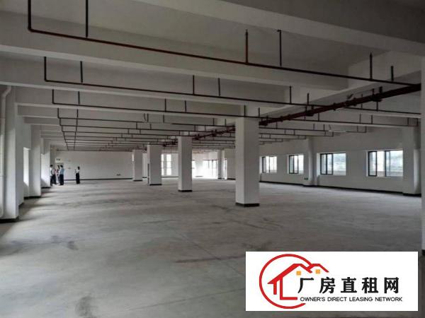  石涌厂房1400平出租带房产证，可做小污染包办环评