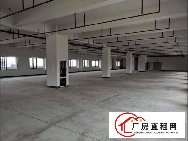  石涌厂房1400平出租带房产证，可做小污染包办环评