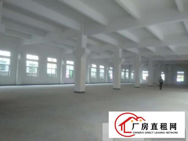  横沥镇新出原房东标准厂房三层4800平方出租