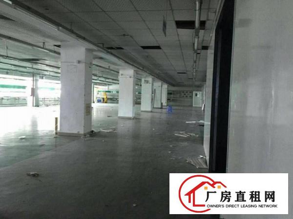  横沥新出原房东标准厂房带消防喷淋豪华装修工业用地14000平
