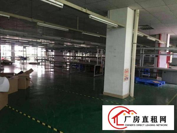  横沥新出原房东标准厂房带消防喷淋豪华装修工业用地14000平
