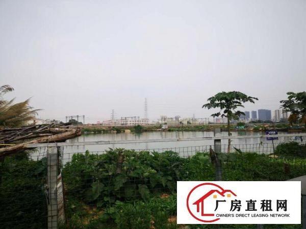  横沥镇上岭村靠近常平新出单一层房东直独栋1600航车免费使用