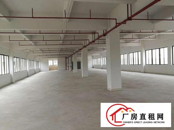 东莞横沥全新独院标准厂房7160平方出租带喷淋消防