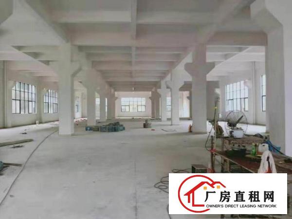  横沥镇新出全新独栋厂房4800平方，带3吨货梯！可分租
